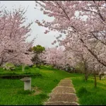 Japonci to počnejo že stoletja: trik, ki umiri telo in glavo