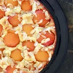 Osvežujoča sladica z marelicami in belo čokolado za sladke poletne dni