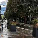 Vremenska napoved: »Čas je pravi za pobiranje oljk« - OBALAplus
