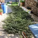 Poglejte, kaj so zasegli pri 45-letniku v Postojni - OBALAplus