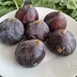 Zamrzovanje fig za ozimnico