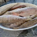 Pravilno zamrzovanje in odmrzovanje rib