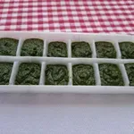 Kako pravilno zamrzniti pesto bazilike