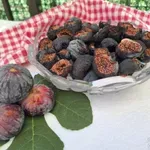 Sušenje in shranjevanje fig