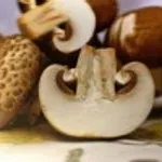 Houby v české kuchyni: od kulajdy po rizoto