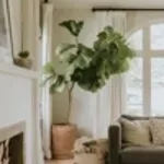 Jak dokážou nové garnýže zcela proměnit atmosféru místnosti?