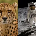 11 otázok a vedomostný kvíz, ktorý preverí váš všeobecný prehľad #529