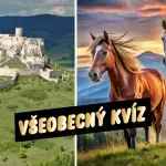 Všeobecný kvíz pre zvedavé hlavy: Odpoviete na všetky otázky? #419