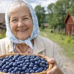 Borůvka, pařez, šejdíř: České slovíčka, ktoré sa pletú najčastejšie