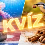 Fakty a zaujímavosti v dnešnom kvíze: Trafíte všetkých 8 odpovedí?