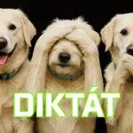 Diktát s chybami: Nájdete všetkých 10 pravopisných chýb v texte?