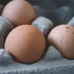 Jak dlouho přesně vydrží čerstvá vejce v lednici? Budete překvapeni! Odhalte tajemství dokonalé čerstvosti a bezpečné spotřeby vajec.