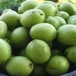 NEČEKEJTE, AŽ DOZRAJÍ! Mladé ořechy a listy jsou VITAMÍNOVÁ BOMBA a detoxikační zázrak! Jak je využít na MAXIMUM?