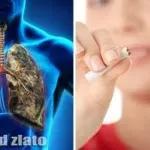 Nedaří se vám přestat kouřit? Tahle zázračná bylinka vás kouření zbaví jednou provždy