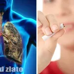 Nedaří se vám přestat kouřit? Tahle zázračná bylinka vás kouření zbaví jednou provždy