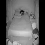 Mačkama se sredi noči utrga