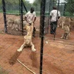 Ko moraš v ponedeljek zjutraj iz postelje