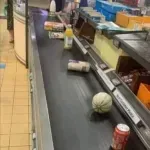 Kupec v Lidlu, ki se je znašel