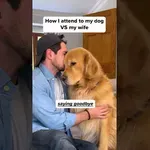 Velika razlika med ljubeznijo do psa in žene