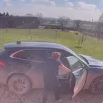 Video, ki res nasmeji