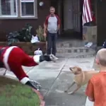 Božič in spodrsljaji, ki vas bodo naglas nasmejali