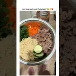 Psa molita preden dobita večerjo