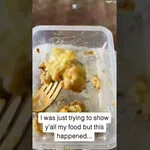 Psi prihitijo na najbolj nenavadne zvoke