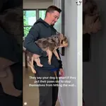 Zanimiv način, kako preveriti, če je vaš pes pameten