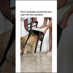 Pes se zatakne v stol, kako mu je to uspelo????