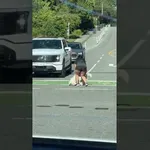 Zaustavila sta cel promet, ker se gospodu ni ljubilo več hoditi