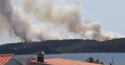 Požar na ostrvu u Hrvatskoj, vatru gase kanader, helikopter i 90 vatrogasaca