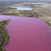 Jezera u Argentini postala ružičasta, ekolozi jako zabrinuti