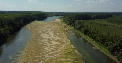 Kad Dunav presuši: Koliko nas koštaju suša i nestručnost