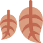 Bluza koja skida godine, izdužuje figuru, i ide bukvalno uz sve FOTO