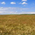 Νέα παράταση για τις καταπατημένες εκτάσεις του Δημοσίου