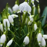 Εορτολόγιο: Ποιοι γιορτάζουν στις 15 Noεμβρίου