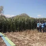 Φάρμα: Τι περιέχει η σημερινή αποστολή του επιστάτη;