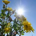 Καιρός: Καλοκαιρινό Σαββατοκύριακο και από Δευτέρα… χειμώνας