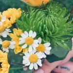 Εορτολόγιο: Ποιοι γιορτάζουν στις 24 Noεμβρίου