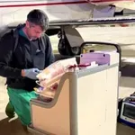 Πρωτοποριακή Μεταμόσχευση: Η Καρδιά Χτυπούσε Στο Ταξίδι