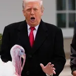 Ο Ντόναλντ Τραμπ έδωσε χάρη σε δύο γαλοπούλες