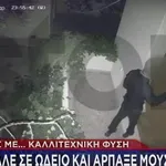 Χειροπέδες Στον «Μπολτ» Της Εγκληματικότητας - Είχε Ξεφύγει 2 Φορές