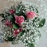 Εορτολόγιο: Ποιοι γιορτάζουν στις 8 Δεκεμβρίου