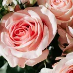 Εορτολόγιο: Ποιοι γιορτάζουν στις 11 Δεκεμβρίου