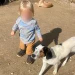 Ζάκυνθος: Αυτός είναι ο 2χρονος Λίο που τον κατασπάραξε το πίτμπουλ