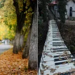 Παγκόσμια Ημέρα Βουνού: 4+1 υπέροχες αποδράσεις σε ελατοσκέπαστα χωριά