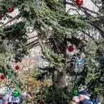 Καιρός: «Φθινοπωρινά» τα φετινά Χριστούγεννα - Οι πρώτες εκτιμήσεις