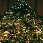 Η ιστορία του χριστουγεννιάτικου δέντρου - Ξέρεις γιατί στολίζουμε;