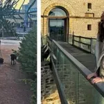 Το χειμωνιάτικο ταξίδι της Δανάης Παππά στο Λουξεμβούργο