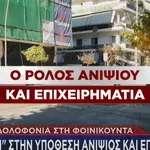 Φοινικούντα: Τα στοιχεία που «έκαψαν» τον ανιψιό και τον φίλο του